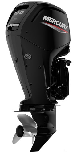 Mercury F 100 EFI